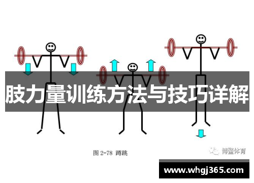 肢力量训练方法与技巧详解